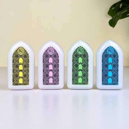 Plug in Quran